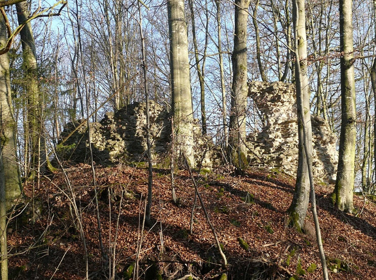 Burgruine Werdeck, Rot am See, Germany, Germany